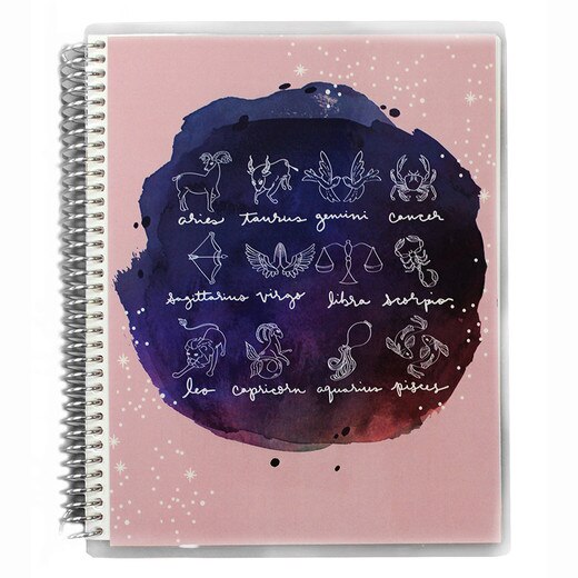 Erin Condren Astrology 7x9 Notebook
